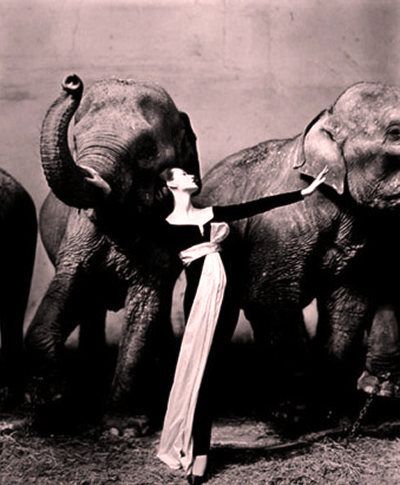 Dior 1955 Vestido Soiree de Paris (assinado por YSL)