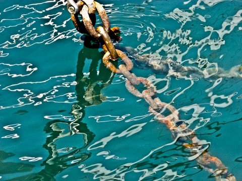 Exposição Reflexos e Reflexões de Vera Ferro (1)